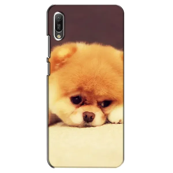 Чохол з малюнком «Померанский шпіц» для Huawei Y6 2019 Чохол з малюнком «Померанский шпіц» для Huawei Y6 2019