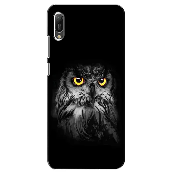 Чехол с рисунком «Сова на чёрном» для Huawei Y6 2019 Чехол с рисунком «Сова на чёрном» для Huawei Y6 2019