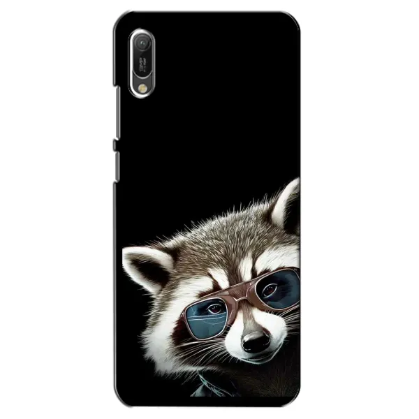 Чехол с рисунком «Стильный Енот» для Huawei Y6 2019 Чехол с рисунком «Стильный Енот» для Huawei Y6 2019