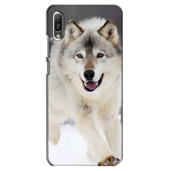 Чехол с рисунком «Волк на снегу» для Huawei Y6 2019