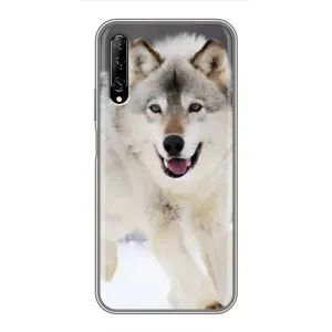 Чохол з Вовком на Huawei Y7 Pro 2019 (Вовк біжить по снігу)