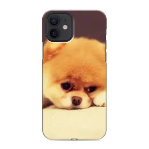 Чехол (ТПУ) Милые собачки для iPhone 12 mini (Померанский шпиц)