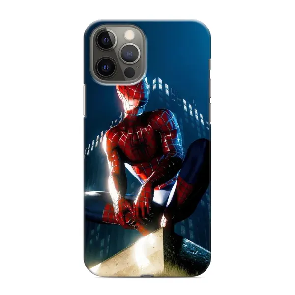 Чехол с рисунком «Паук на доме» для iPhone 12 Pro Max