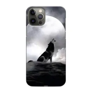 Чехол с Волком на iPhone 12 Pro Max (Волк и луна)