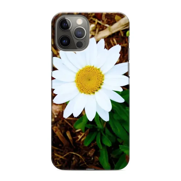 Чехол с рисунком «Белая ромашка» для iPhone 12 Pro
