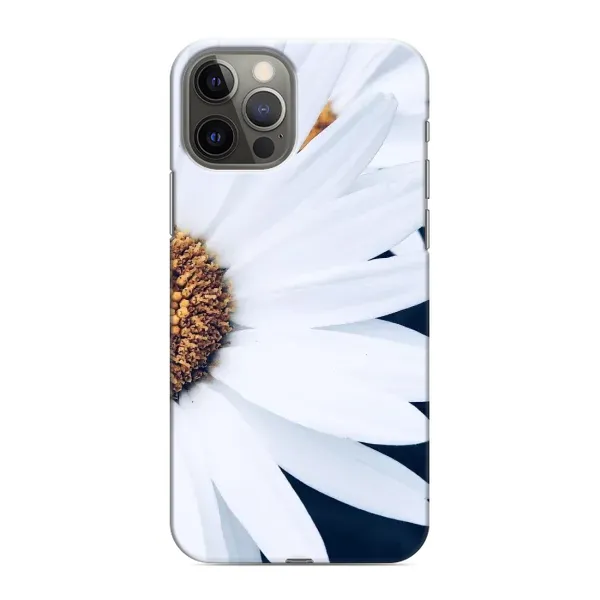 Чехол с рисунком «Пол ромашки» для iPhone 12 Pro