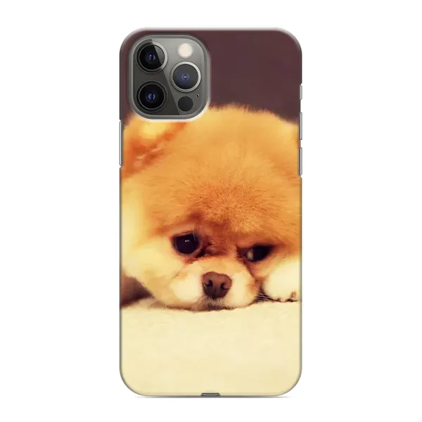 Чехол с рисунком «Померанский шпиц» для iPhone 12 Pro Чехол с рисунком «Померанский шпиц» для iPhone 12 Pro