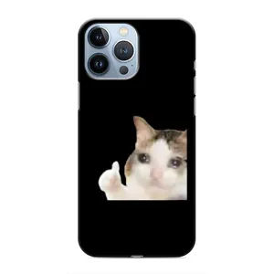 Бампер з принтом Меми для iPhone 13 Pro Max (Кіт у сльозах)