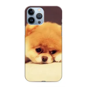 Чехол (ТПУ) Милые собачки для iPhone 13 Pro Max (Померанский шпиц)