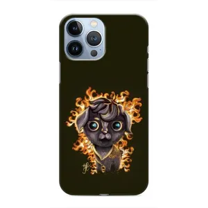 Чехлы на военную тематику для iPhone 13 Pro (Бавовна мем)