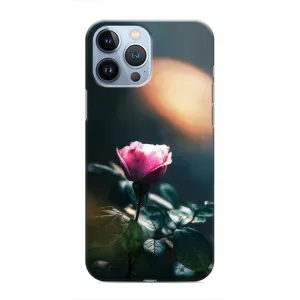 Чехлы с принтом Розочки для iPhone 13 Pro (Цветок ночной)