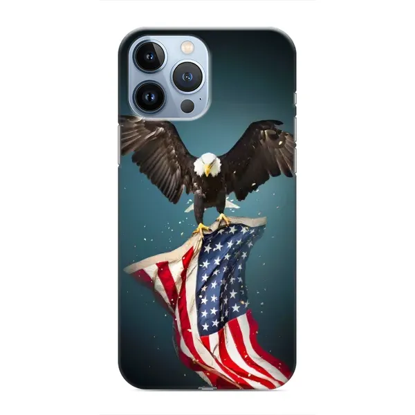Чехол с рисунком «Орел и флаг» для iPhone 13 Pro Чехол с рисунком «Орел и флаг» для iPhone 13 Pro