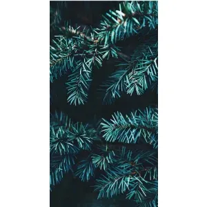 Чехол Новогодняя Елка на iPhone 14 Plus (Ель)