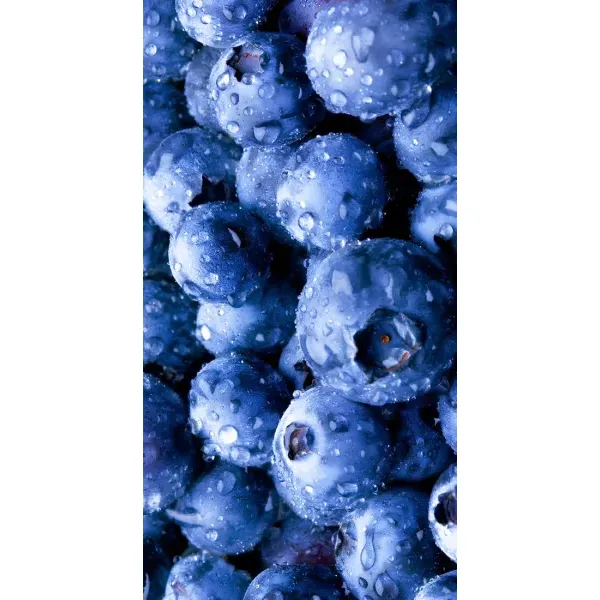 Чехол с рисунком «Голубика» для iPhone 14 Plus Чехол с рисунком «Голубика» для iPhone 14 Plus