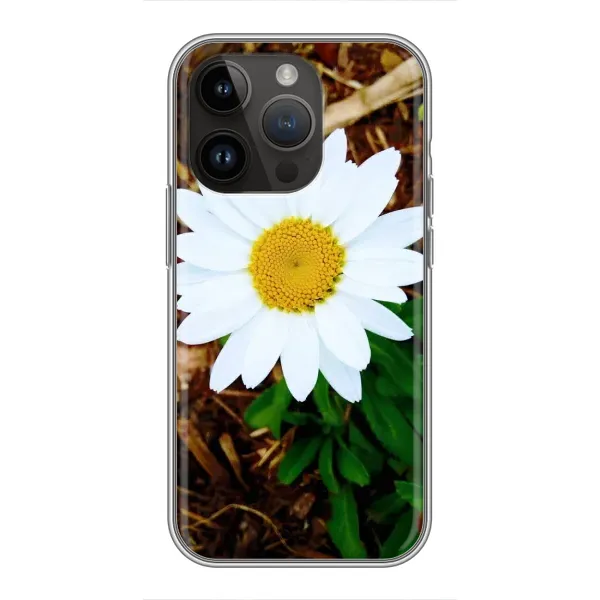 Чехол с рисунком «Белая ромашка» для iPhone 14 Pro Max Чехол с рисунком «Белая ромашка» для iPhone 14 Pro Max