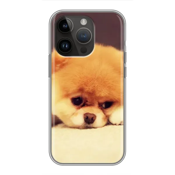 Чехол с рисунком «Померанский шпиц» для iPhone 14 Pro Max Чехол с рисунком «Померанский шпиц» для iPhone 14 Pro Max