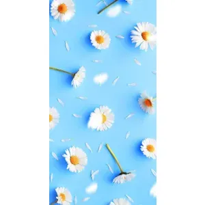 Чехол с Цветами для iPhone 14 Pro Max (ромашки на голубом)