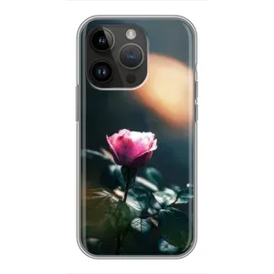 Чохли з принтом Троянд для iPhone 14 Pro (Квітка нічна)