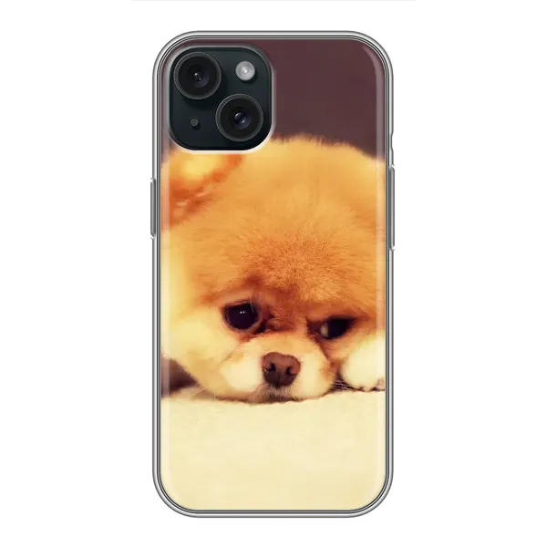 Чехол с рисунком «Померанский шпиц» для iPhone 15 Чехол с рисунком «Померанский шпиц» для iPhone 15