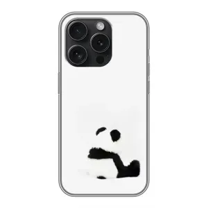 Чохли з Пандами на iPhone 16 Pro (Панда образився)