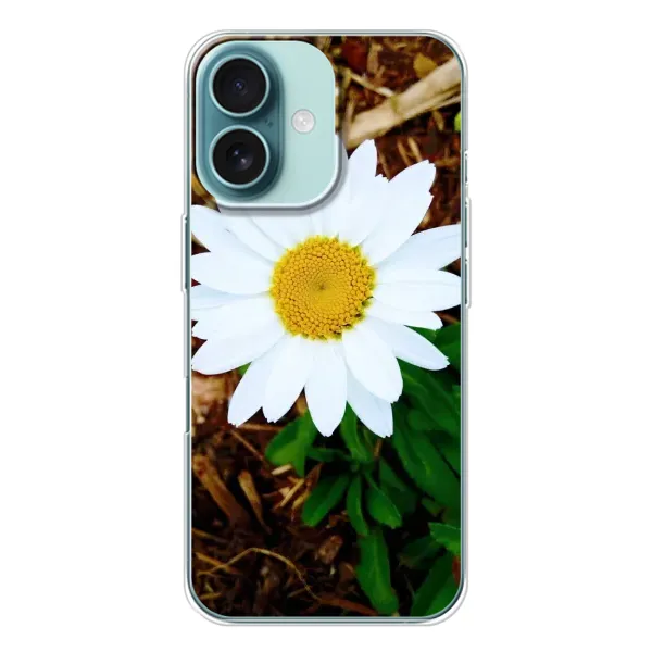 Чехол с рисунком «Белая ромашка» для iPhone 16