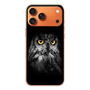 Чехлы с принтом СОВЫ для iPhone 17 Pro Max (Сова на чёрном)