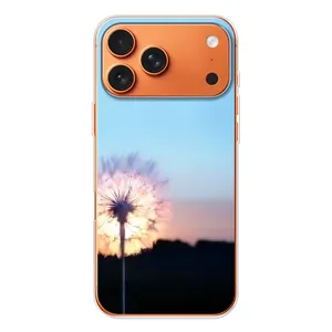 Силіконовий Чохол з кульбабками на iPhone 17 Pro Max (Захід з кульбабкою)