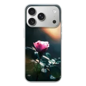 Чехлы с принтом Розочки для iPhone 17 Pro (Цветок ночной)