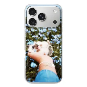 Чохли з зображенням різних тварин на iPhone 17 Pro (Їжачок в руці)