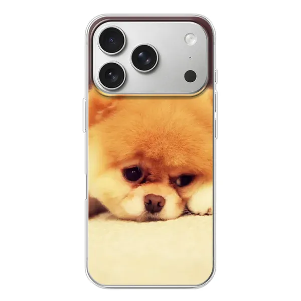 Чехол с рисунком «Померанский шпиц» для iPhone 17 Pro Чехол с рисунком «Померанский шпиц» для iPhone 17 Pro