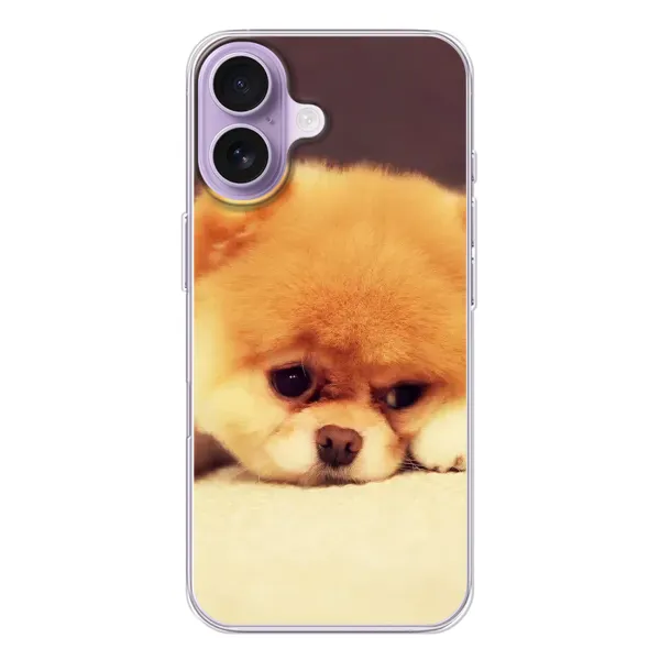 Чехол с рисунком «Померанский шпиц» для iPhone 17 Чехол с рисунком «Померанский шпиц» для iPhone 17