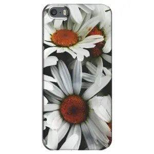 Чехол с ромашками на iPhone 5 / 5s / SE (Цветы Ромашки)