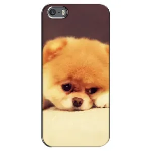 Чохол (ТПУ) Милі песики для iPhone 5 / 5s / SE (Померанский шпіц)
