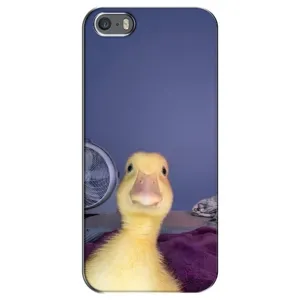 Чехол с рисунком «Утка» для iPhone 5 / 5s / SE