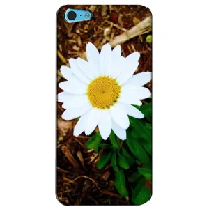 Чохол з малюнком «Біла ромашка» для iPhone 5c