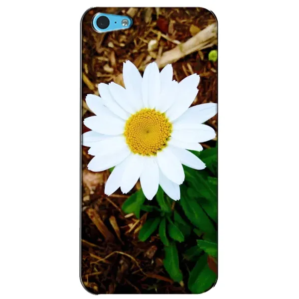 Чохол з малюнком «Біла ромашка» для iPhone 5c Чохол з малюнком «Біла ромашка» для iPhone 5c