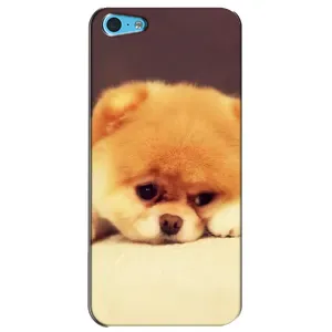 Чохол (ТПУ) Милі песики для iPhone 5c (Померанский шпіц)
