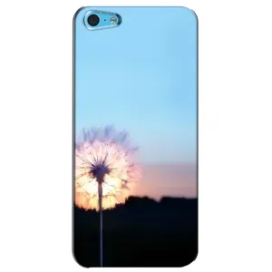 Силиконовый Чехол с одуванчиками на iPhone 5c (Закат с одуванчиком)
