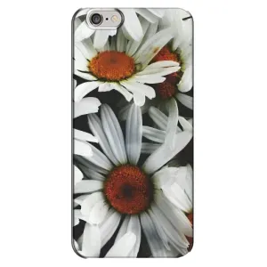 Чохол з ромашками на iPhone 6 Plus / 6s Plus (Квіти Ромашки)