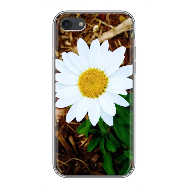 Чехол с рисунком «Белая ромашка» для iPhone 6 / 6s Чехол с рисунком «Белая ромашка» для iPhone 6 / 6s