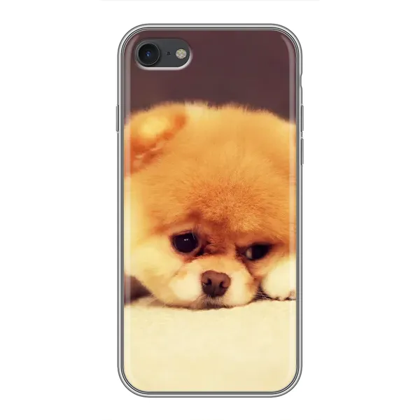 Чехол с рисунком «Померанский шпиц» для iPhone 7