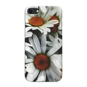 Чехол с ромашками на iPhone SE (2020) (Цветы Ромашки)