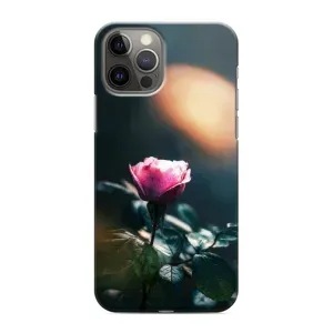 Чехлы с принтом Розочки для iPhone 11 Pro Max (Цветок ночной)