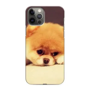 Чехол (ТПУ) Милые собачки для iPhone 11 Pro Max (Померанский шпиц)