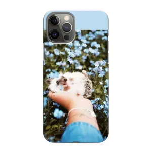 Чохли з зображенням різних тварин на iPhone 11 Pro (Їжачок в руці)