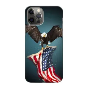 Чохол Прапор USA для iPhone 11 Pro (Орел і прапор)