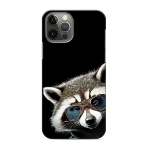 Силіконовий Чохол з Энотами на iPhone 11 Pro (Стильний Єнот)