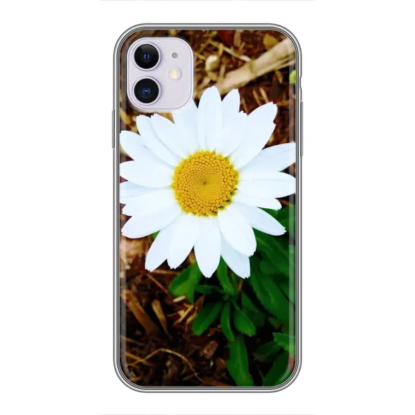 Чехол с рисунком «Белая ромашка» для iPhone 11