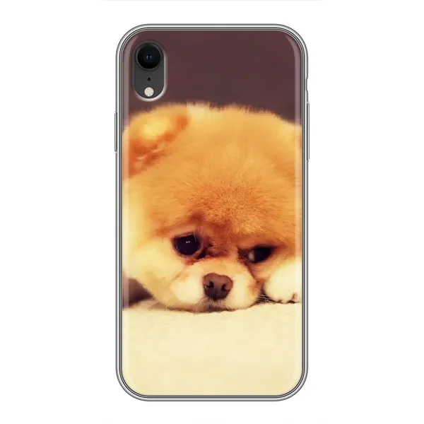 Чехол с рисунком «Померанский шпиц» для iPhone Xr Чехол с рисунком «Померанский шпиц» для iPhone Xr