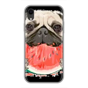 Чохол (ТПУ) Милі песики для iPhone Xr (Смішний Мопс)